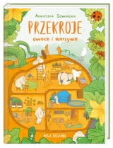 Przekroje: owoce i warzywa Przekroje: owoce i warzywa