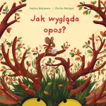 Jak wygląda opos?