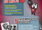Miniaturka w galerii