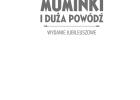 Miniaturka w galerii