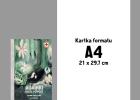 Miniaturka w galerii